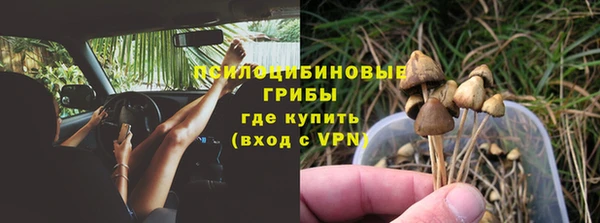 твердый Алексеевка